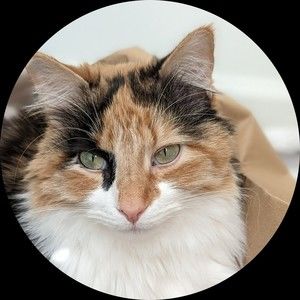 Meet your Posher, Sasha